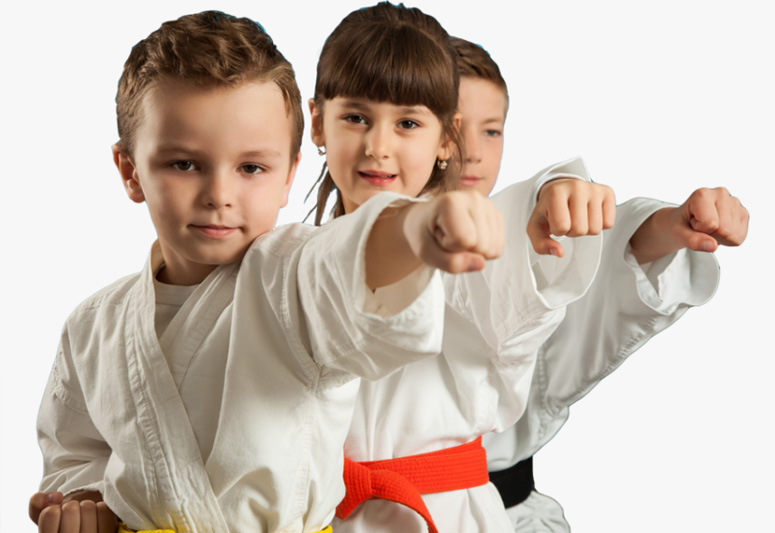 46-465650_kids-martial-arts-hd-png-download copy